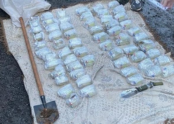 В Серове будут судить тагильчанина, у которого изъяли 40 килограммов прекурсоров наркотических средств