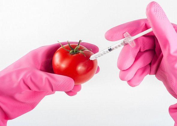 Специалист рассказывает серовчанам о последствиях употребления продуктов с ГМО
