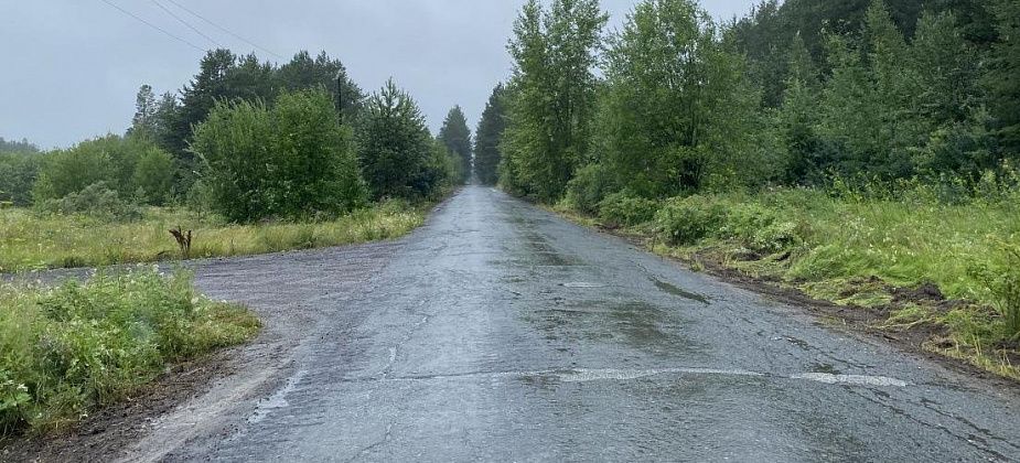 "Они бы и денег заработали, и людям добро сделали". Пенсионерка просит организовать автобус до кладбища