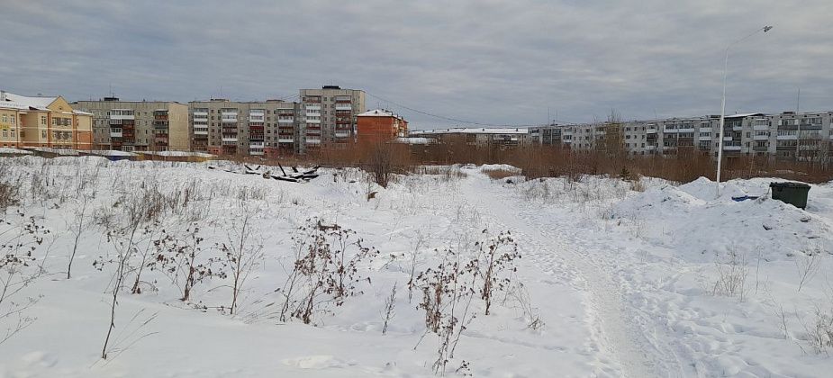 "Вся Сортировка - собачье царство". Серовчане боятся нападений бродячих животных