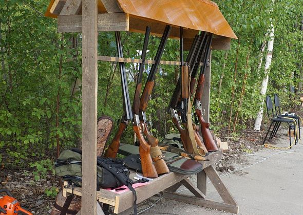 Прокуратура Серова рассказывает об особенностях получения охотничьего билета