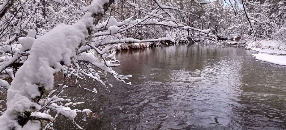 «Картина, которую мы увидели, печальна». Серовчанин побывал на слиянии отравленных рек Тамшер и Шегультан