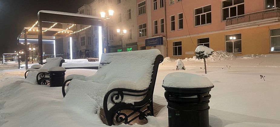 В новогоднюю ночь на севере области обещают умеренно морозную погоду