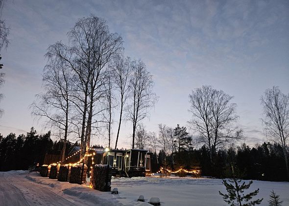 В новогодние каникулы свердловчане выбирают сон