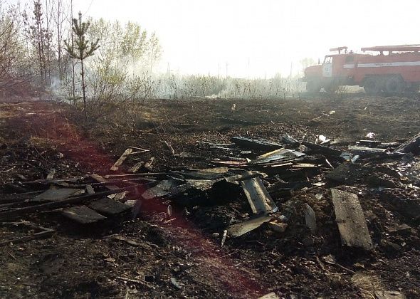 Между Новой Колой и Филькино горит сухая трава