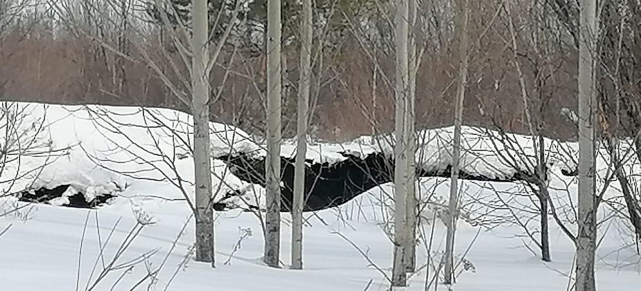 Читатели сообщают, что в районе Новой Колы происходит подземный пожар