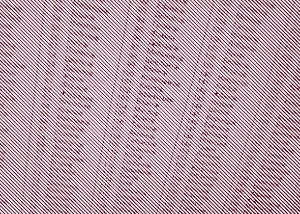 В 2026 году будут открыты данные для проверки в Едином реестре населения