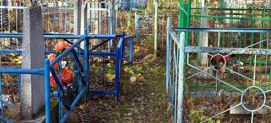 По серовскому кладбищу разгуливает... медведь