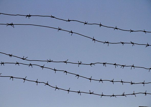 Серовский насильник, надругавшийся над двумя девочками, хотел заменить неотбытую часть срока