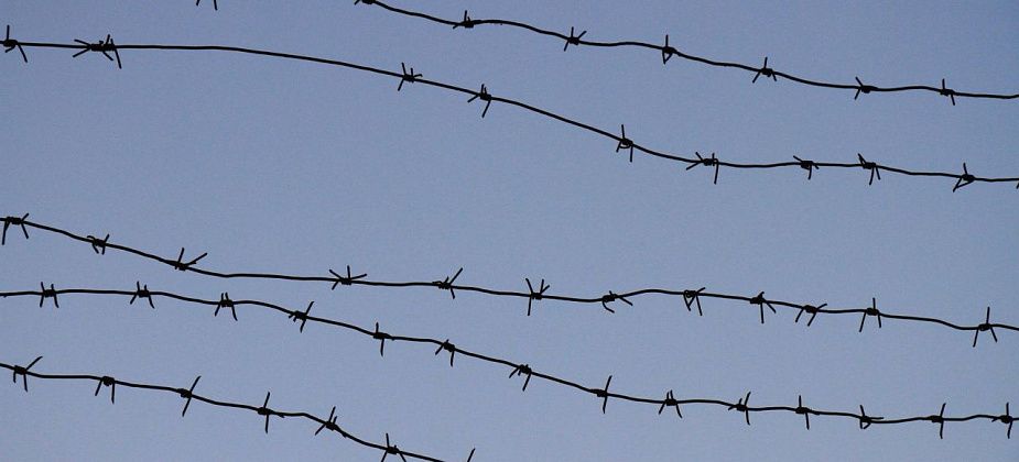 Серовский насильник, надругавшийся над двумя девочками, хотел заменить неотбытую часть срока