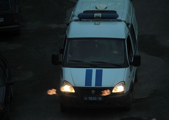 Серовчанка пьяной сообщила в полицию о минировании завода. Сообщение было ложным