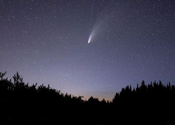 В сентябре до восхода Солнца можно наблюдать полет кометы Нисимура