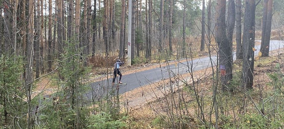 Определилась компания, которая построит лыжероллерную трассу в Серове