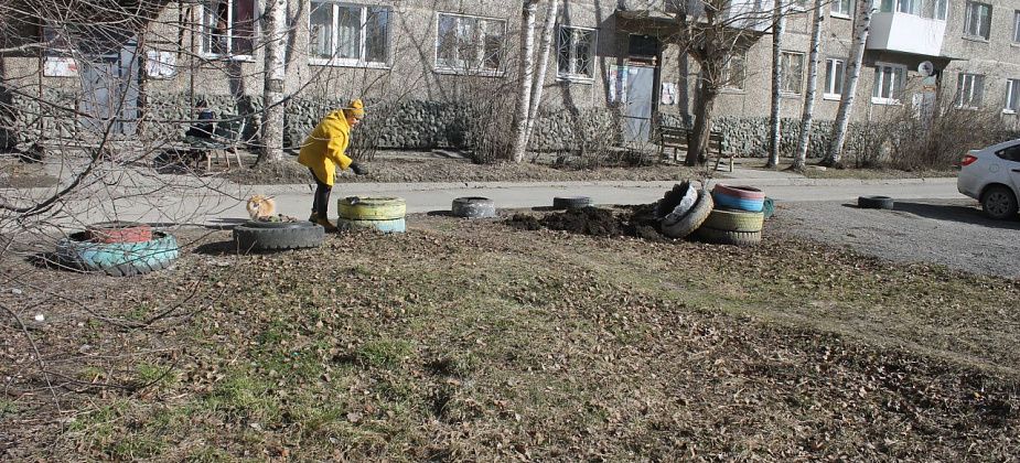 "Безобразие, слов нет". Серовчанка возмущена, что управляющая компания не предупредила об уборке клумб-шин во дворе