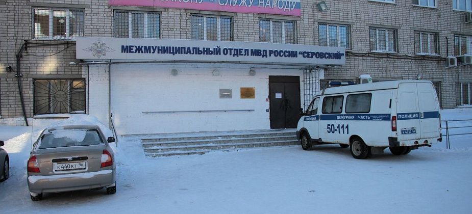 Серовчанина будут судить за вырубку тополей и ольхи в водоохранной зоне