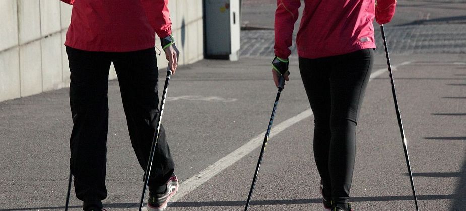 Скандинавская ходьба: кому полезно и как правильно ходить со специальными палками? 
