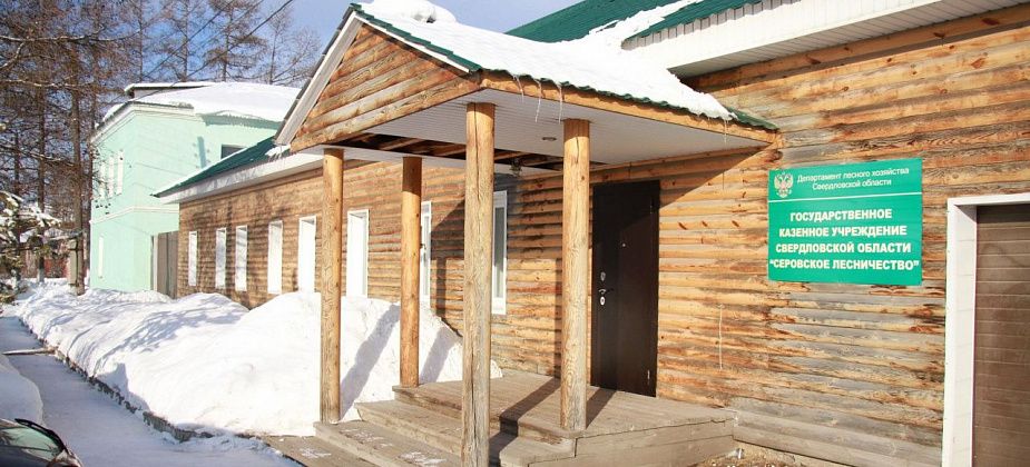 Серовское лесничество проведет консультации для граждан
