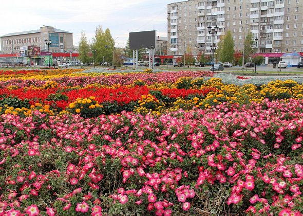 На обустройство цветников на общественных территориях в Серове выделено больше 5 миллионов рублей