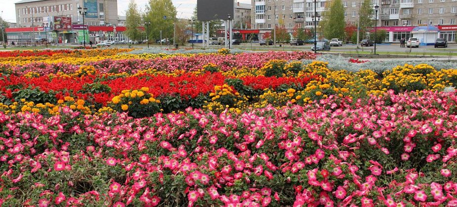 На обустройство цветников на общественных территориях в Серове выделено больше 5 миллионов рублей