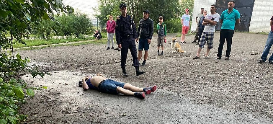 Серовчанин погиб от «мощного удара электротоком». Вероятно, хотел убрать провода, оборванные сильным ветром