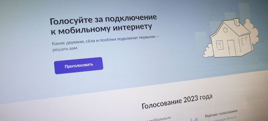 Серовчанам через интернет предлагают проголосовать за подключение деревень к интернету 