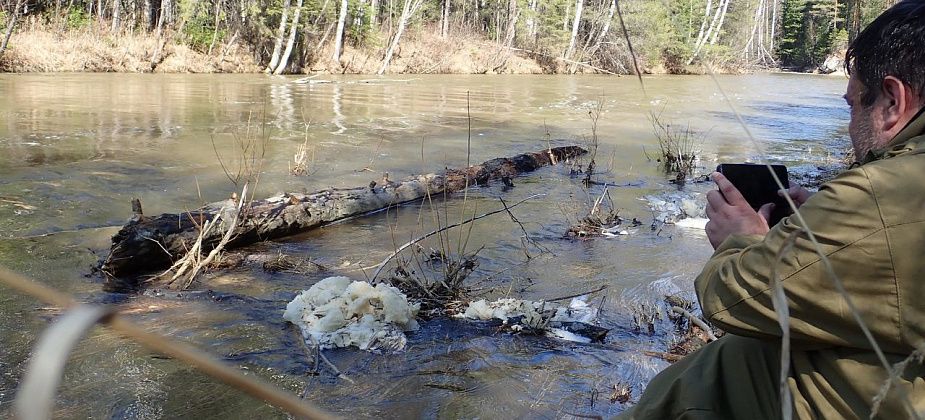Общественники опубликовали свежие результаты анализов воды из Тальтии, Ивделя, Шегультана и Сосьвы: "качество воды ухудшается"