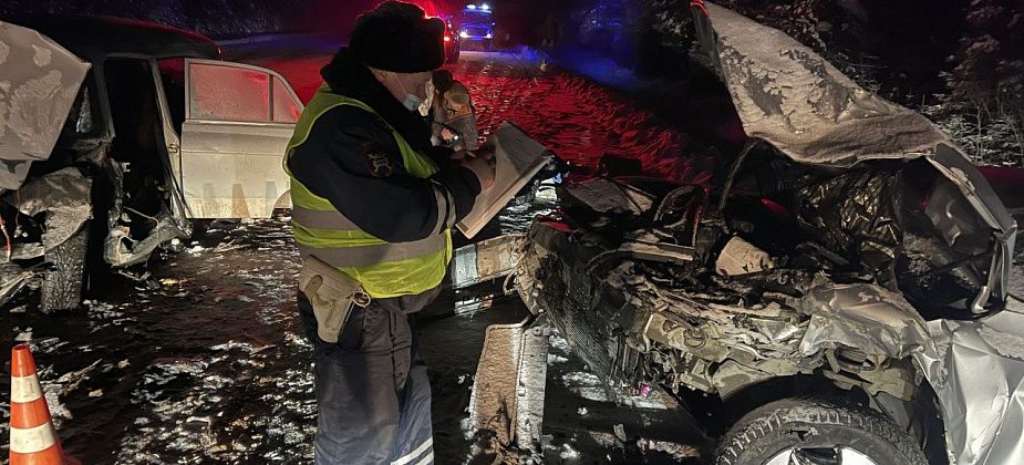 Семья из Серова попала в ДТП под Кушвой. Виновник аварии погиб, его собака - тоже. Двое детей получили травмы