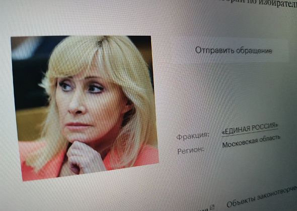 Зампред Комитета Госдумы по вопросам семьи, женщин и детей усмотрела сексизм в Кодексе этики Василия Сизикова 