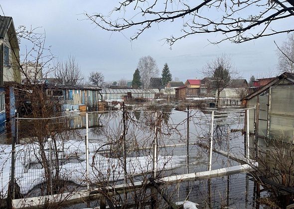 Мэрия Серова не планирует копать канаву в сторону улицы Каквинской, чтобы отвести воду от садов ОВД