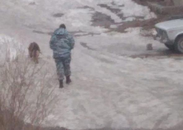 Полиция Серова разбирается в причинах скачка напряжения на 1-ом разъезде. Там похитили кабель?