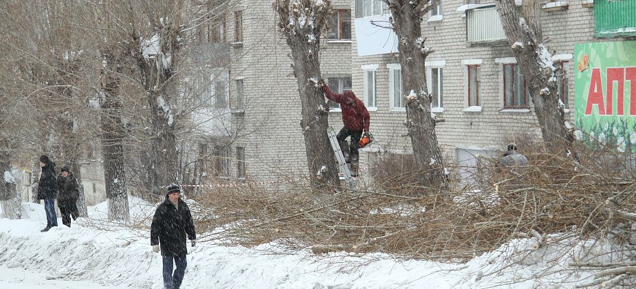 На благоустройство и озеленение Серова в 2019 году потратят больше 5 миллионов рублей