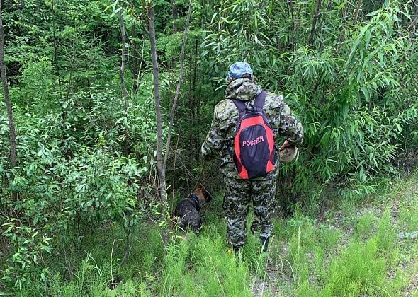 Обнаружено тело пропавшей серовчанки
