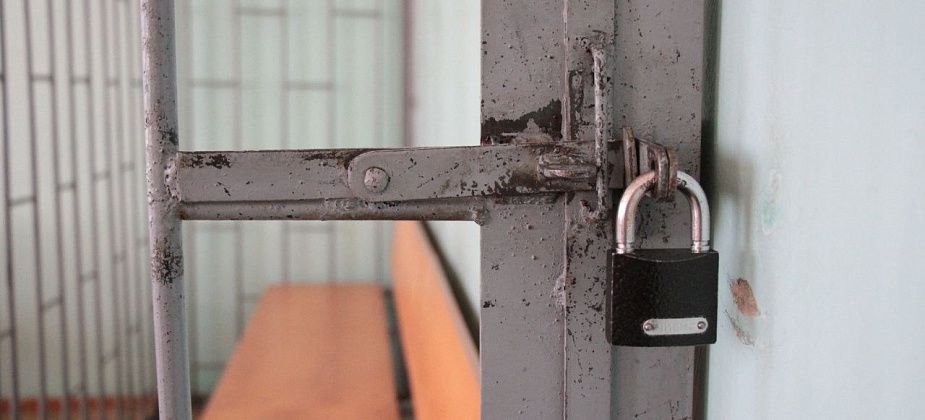 «Сейчас я ей тебе наверну и тебя не будет!» В Серове осужден истязатель беременной женщины