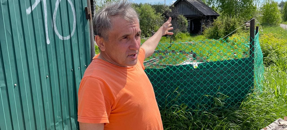 В селе Филькино, что под Серовом, собаки убили гусей и перепелов: "Думаю, была стая. Гуси даже в воду не успели спрыгнуть"
