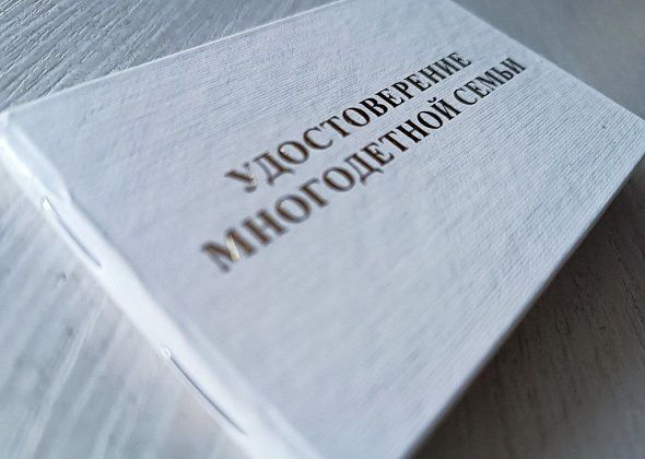 Многодетных мам из Серова и Серовского района наградят за рождение и воспитание детей