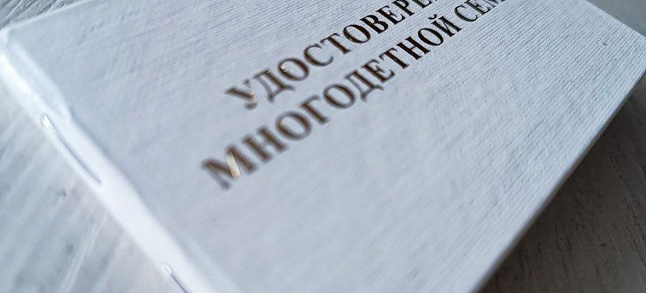 Многодетных мам из Серова и Серовского района наградят за рождение и воспитание детей