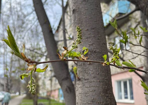 Синоптики прогнозируют дожди на севере области в День Победы