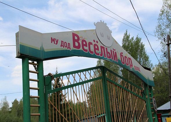 Запись детей на летний отдых в Серове начнется 2 марта