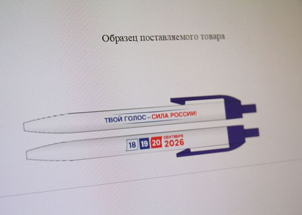 Цену контракта на «предвыборные» ручки для мэрии Серова снизили до 30 тысяч рублей