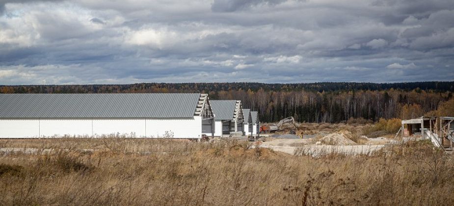 Не везет Среднему Уралу с инвестициями. Под вопросом будущее свинокомплекса недалеко от Серова