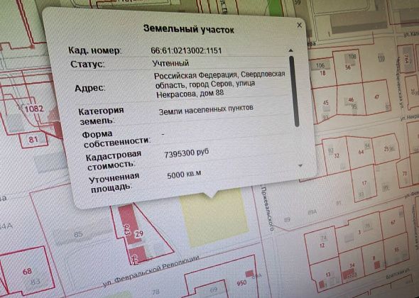 Власти Серова сдают в аренду участок под размещение рынка