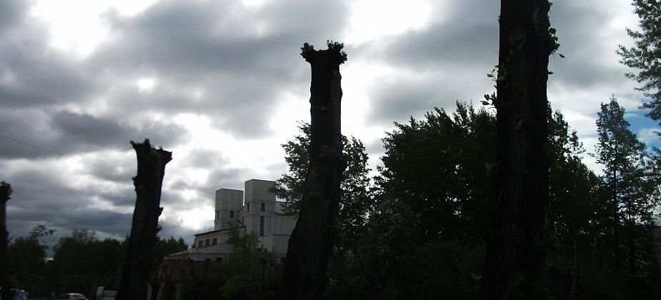 Я не люблю весны