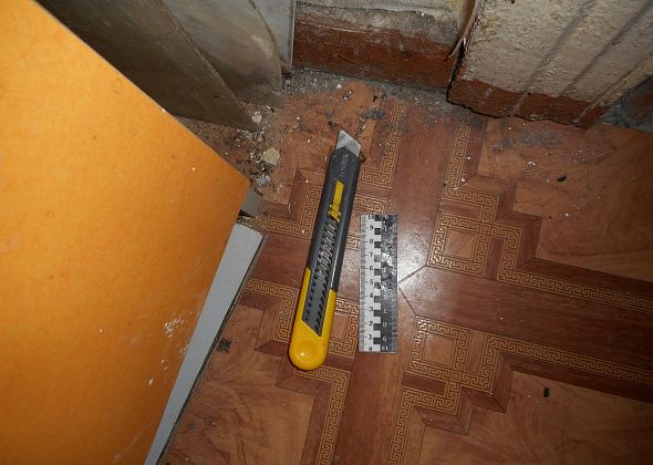 Серовчанин порезал лицо гостьи канцелярским ножом