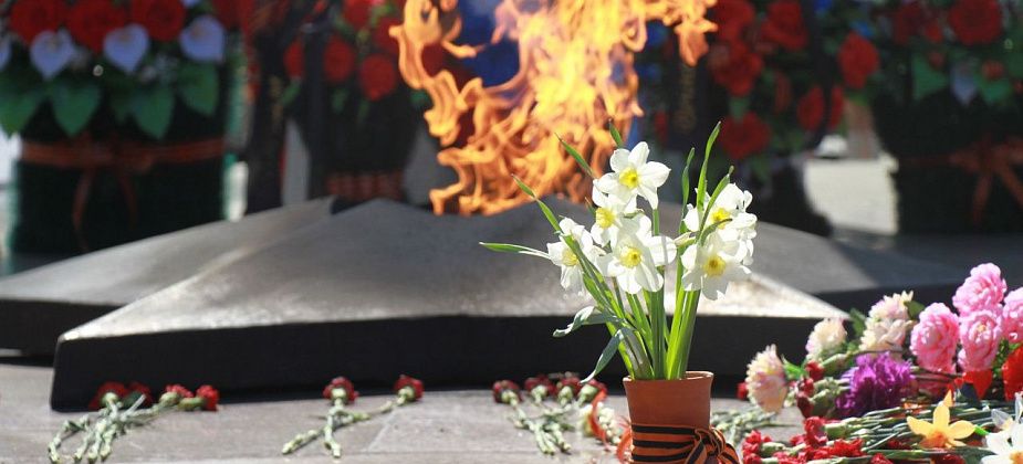 Минский поисковый отряд просит отозваться родных бойца Василия Якимова, родившегося под Серовом
