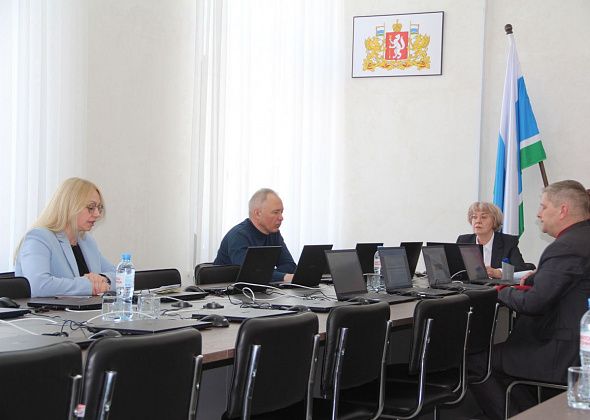 Депутатам Серова рассказали, что земельный и лесной контроль теперь можно проводить с помощью БПЛА