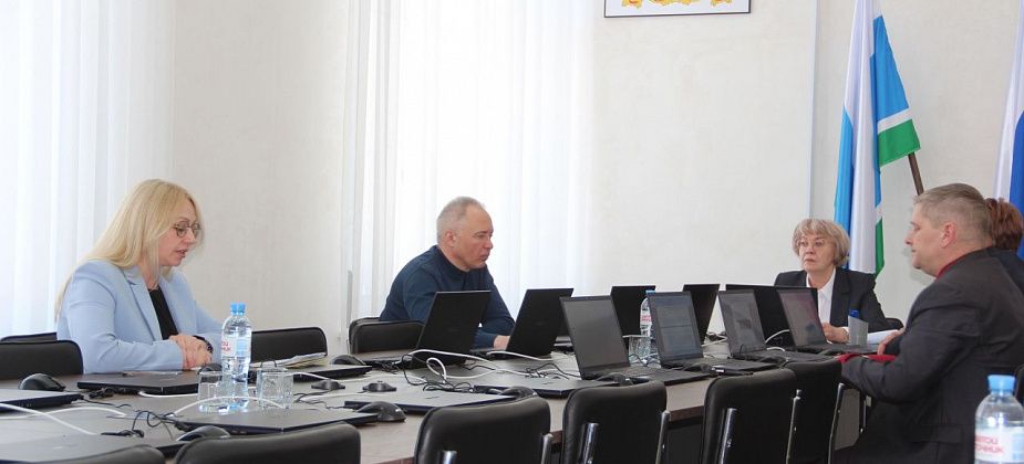 Депутатам Серова рассказали, что земельный и лесной контроль теперь можно проводить с помощью БПЛА