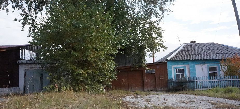 Власти Серова готовы увеличить траты на валку аварийных тополей
