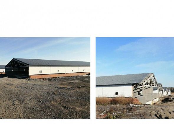 Серовский завод ферросплавов продает недостроенный свинокомплекс – за 860 миллионов рублей