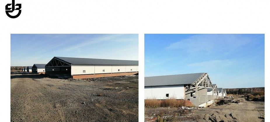 Серовский завод ферросплавов продает недостроенный свинокомплекс – за 860 миллионов рублей