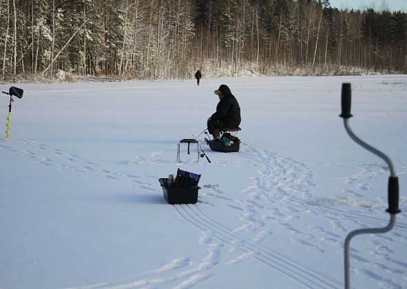 Любительская рыбалка на арендованном ИП участке реки Замарайки запрещена. Об этом сообщил отдел Росрыболовства в Екатеринбурге